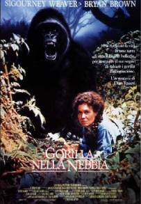 Gorilla nella nebbia