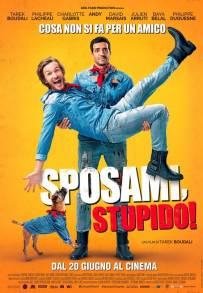 Sposami, stupido!