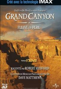 Grand Canyon Adventure: River at Risk