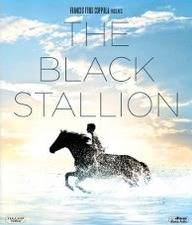 Black Stallion