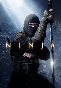 Ninja: Shadow of a Tear