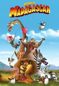 Madly Madagascar