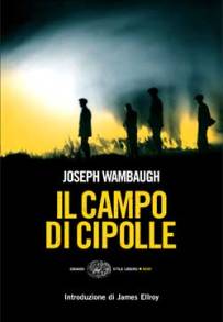 Il campo di cipolle