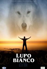 Lupo bianco