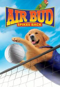 Air Bud 5 - Un amico dal tocco magico