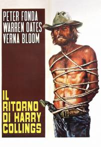 Il ritorno di Harry Collings